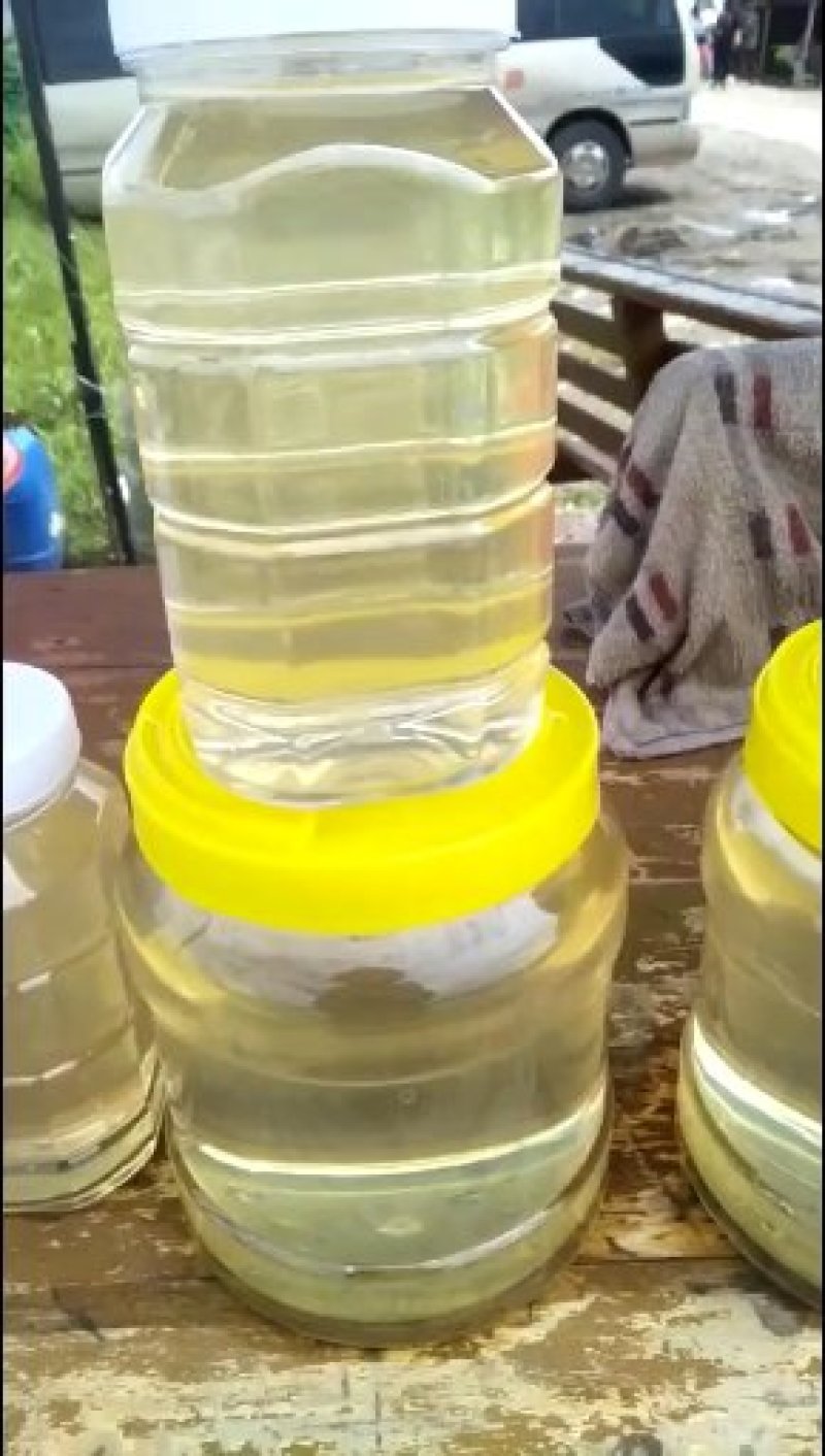 蜂巢蜜，青海蜂巢蜜，油菜花蜜炒面，青海百花蜂巢蜜