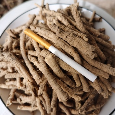远志筒3—4—5纯干野生