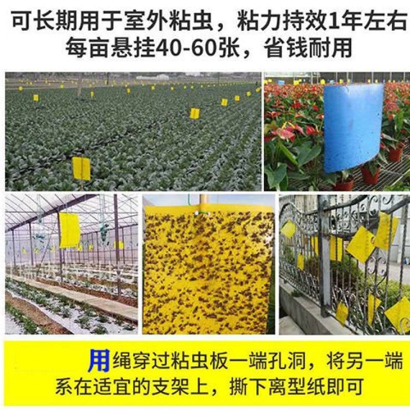双面防水装粘虫板黄板诱虫板灭虫板篮板果园大棚粘板诱虫板粘