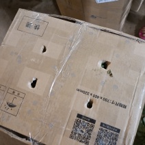 农科院特派员基地，脱毒哈密红薯苗，玛莎莉红薯苗