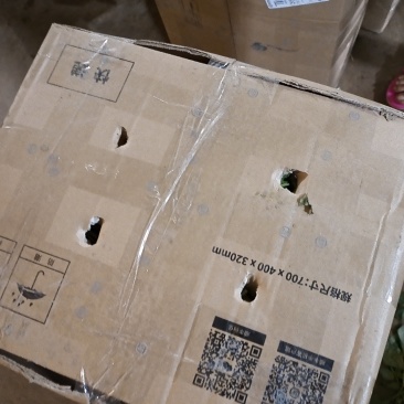 农科院特派员基地，脱毒哈密红薯苗，玛莎莉红薯苗