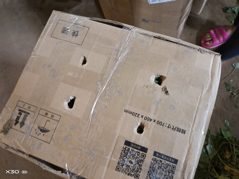 农科院特派员基地，脱毒哈密红薯苗，玛莎莉红薯苗