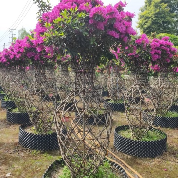杜鹃造型花瓶，杜鹃花瓶，杜鹃柱，杜鹃造型