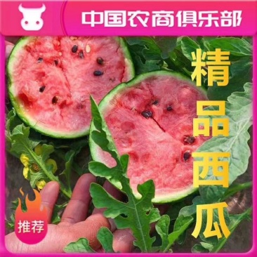 西瓜**日期随时有货量大优惠