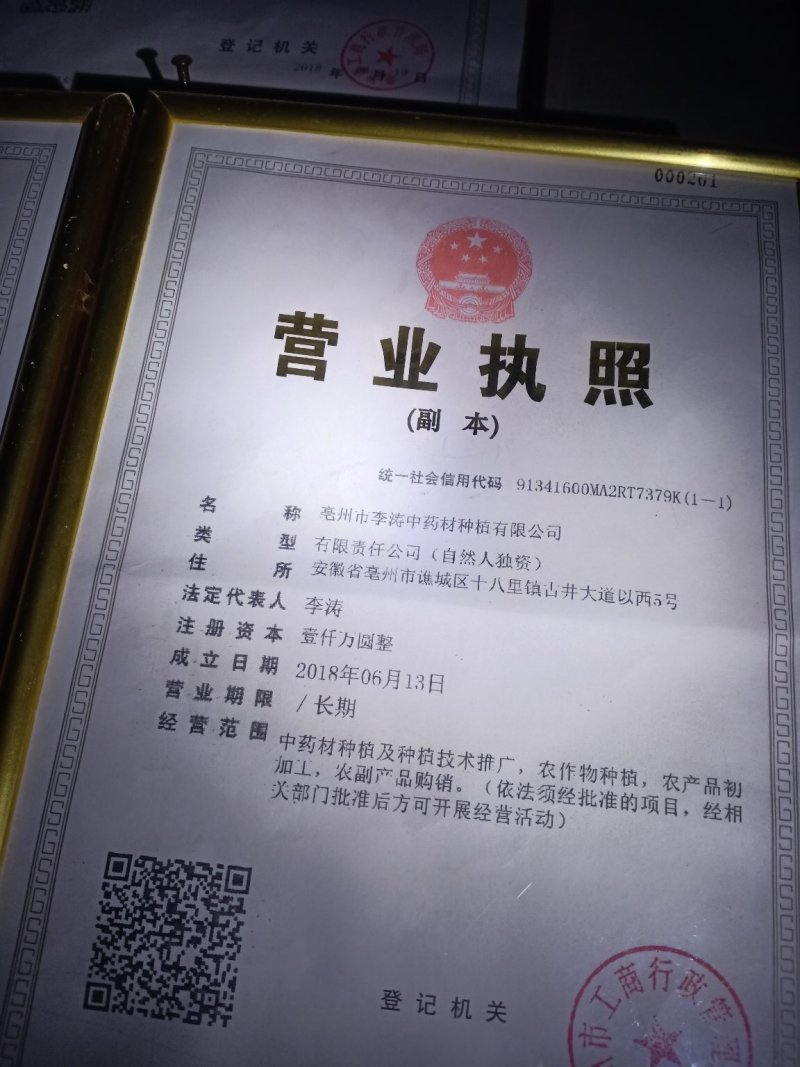 茯苓！无硫无添加！大货批发一手货源价格优