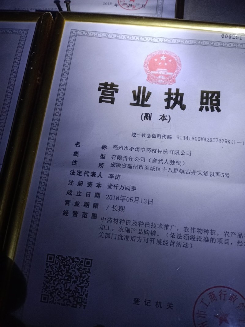 茯苓！无硫无添加！大货批发一手货源价格优