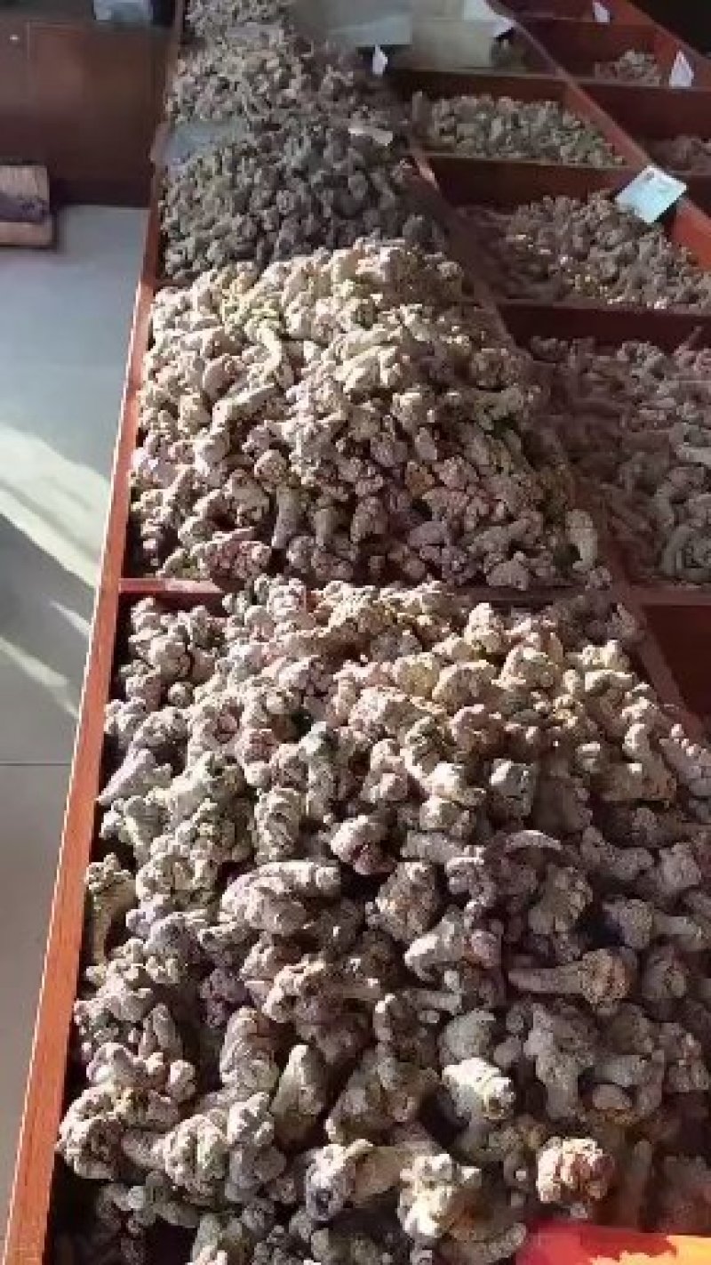 柴胡黑柴胡新货统货关书药业