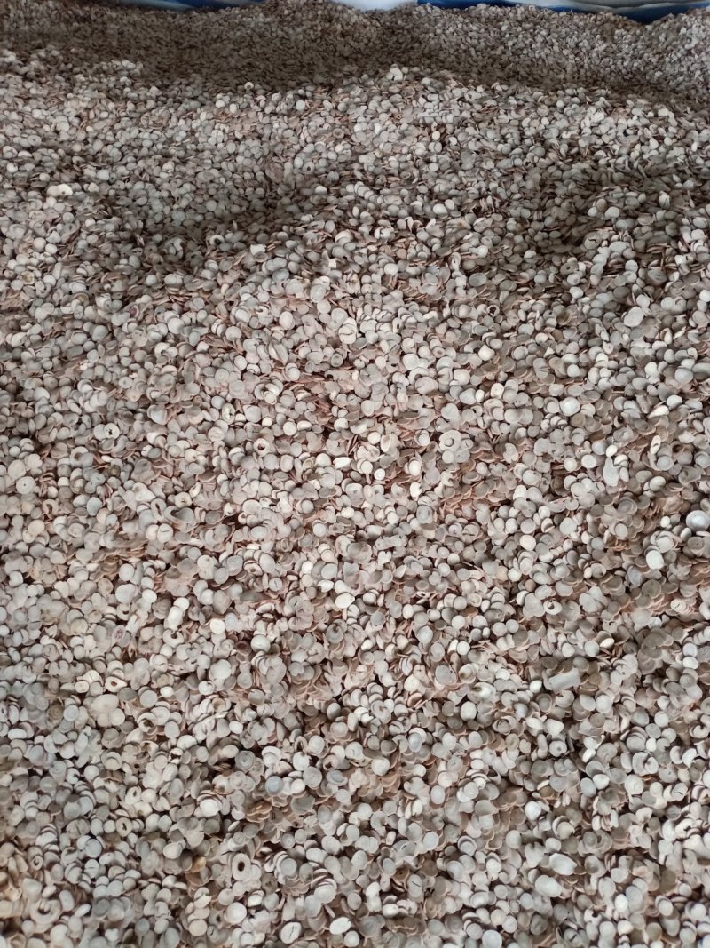出售各种规格白芍！产地直销一手货源！价格优！