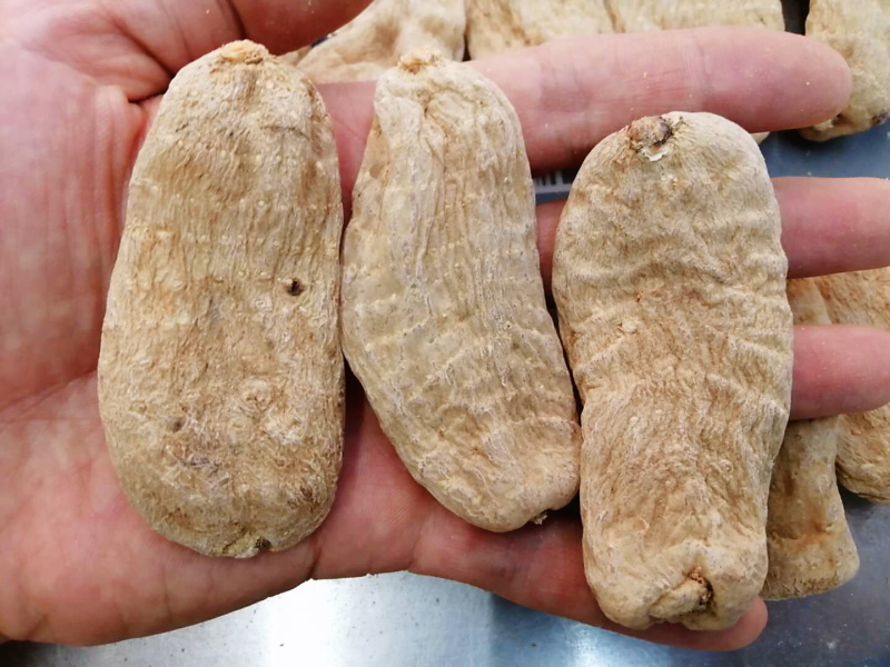 昭通天麻云南特产昭通小草坝无硫天麻500克包邮
