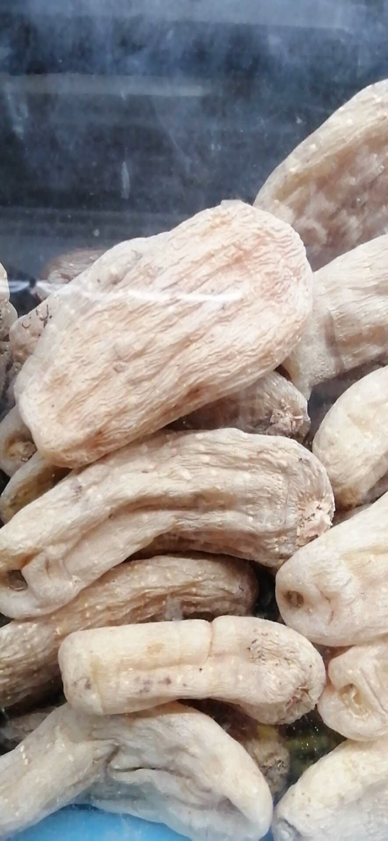 昭通天麻云南特产昭通小草坝无硫天麻500克包邮