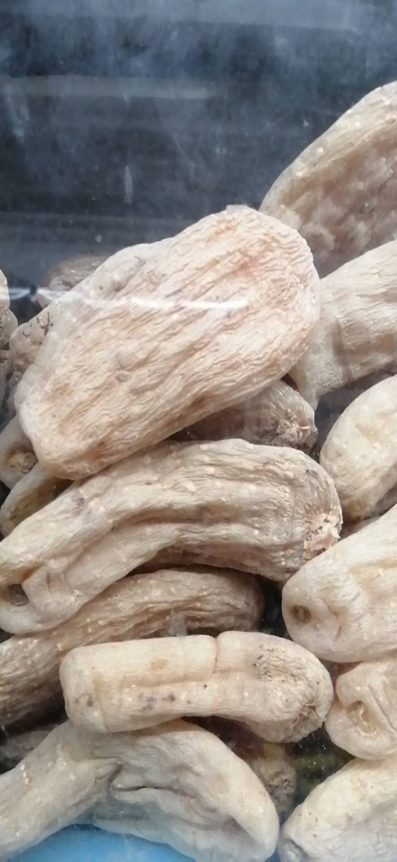 昭通天麻云南特产昭通小草坝无硫天麻500克包邮