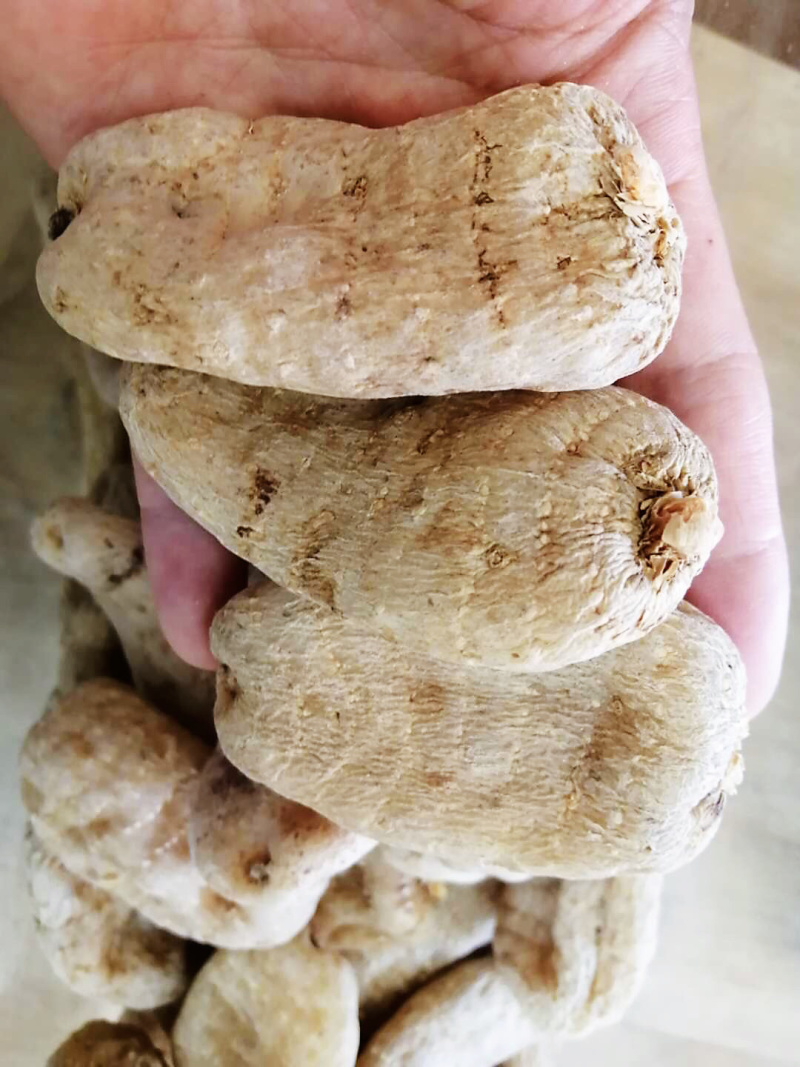 昭通天麻云南特产昭通小草坝无硫天麻500克包邮