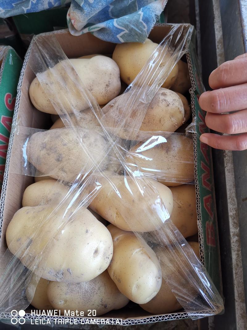 土豆，大棚土豆大量上市了。有v7。贺兰15。质量好。价格