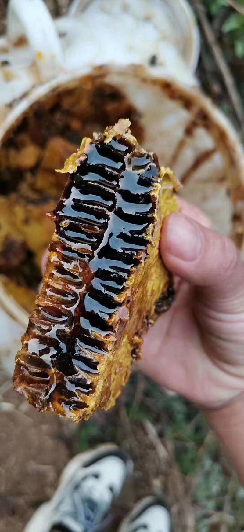 缅甸黑蜂蜜，黑蜂蜜，纯蜂蜜，优质黑蜂蜜，可视频看货