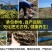人参花包邮长白山6年大花产地批发