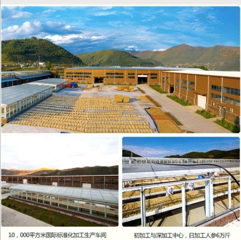 人参花包邮长白山6年大花产地批发