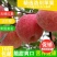 包邮【3斤试吃装】洛川苹果冰糖心红富士苹果