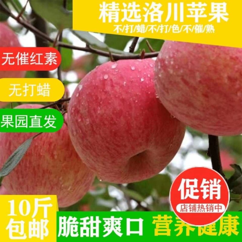 包邮【3斤试吃装】洛川苹果冰糖心红富士苹果