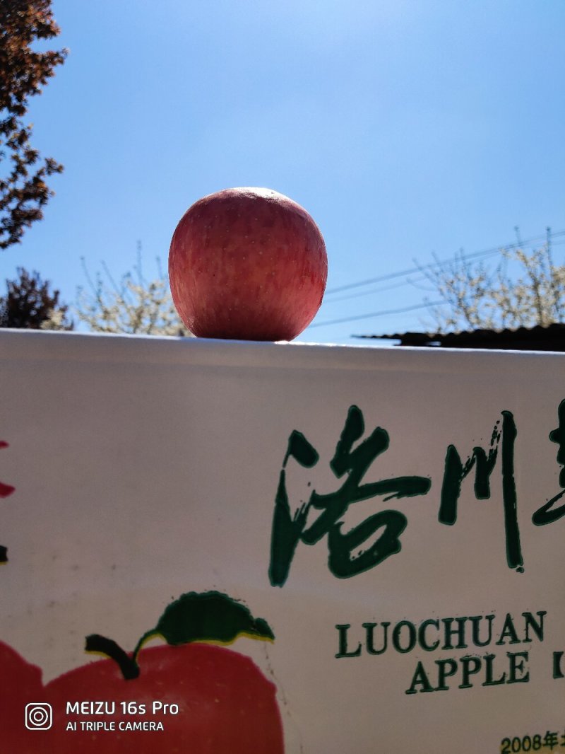 包邮【3斤试吃装】洛川苹果冰糖心红富士苹果