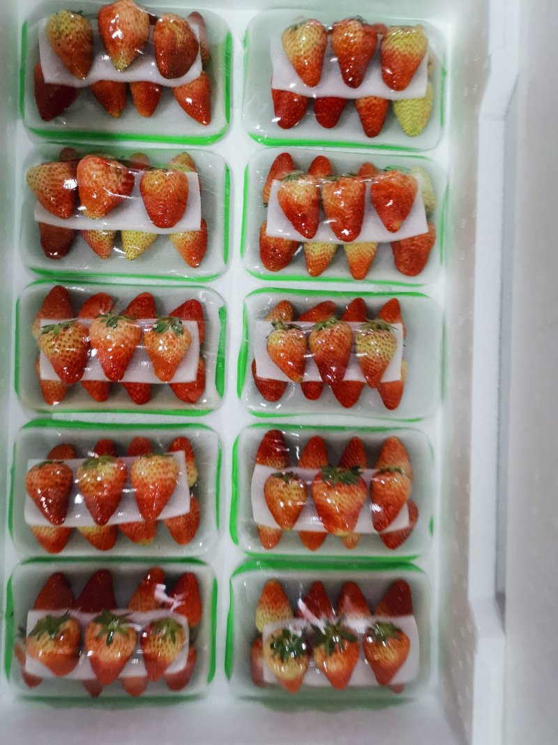 水果