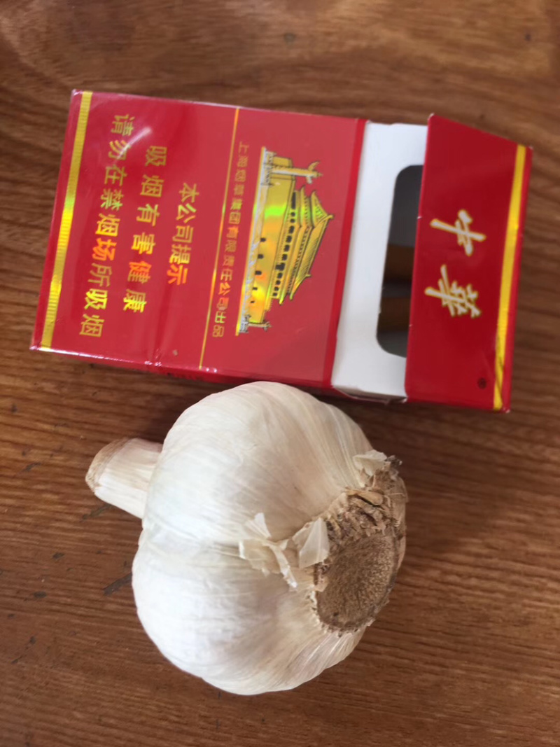 江苏射阳县青龙牌鲜蒜上市