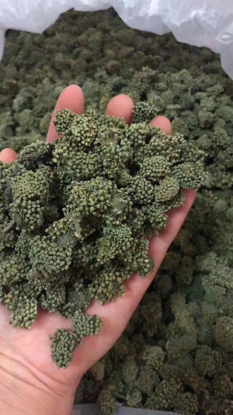 三七花，云南文山三七花，颜色好，花朵紧致
