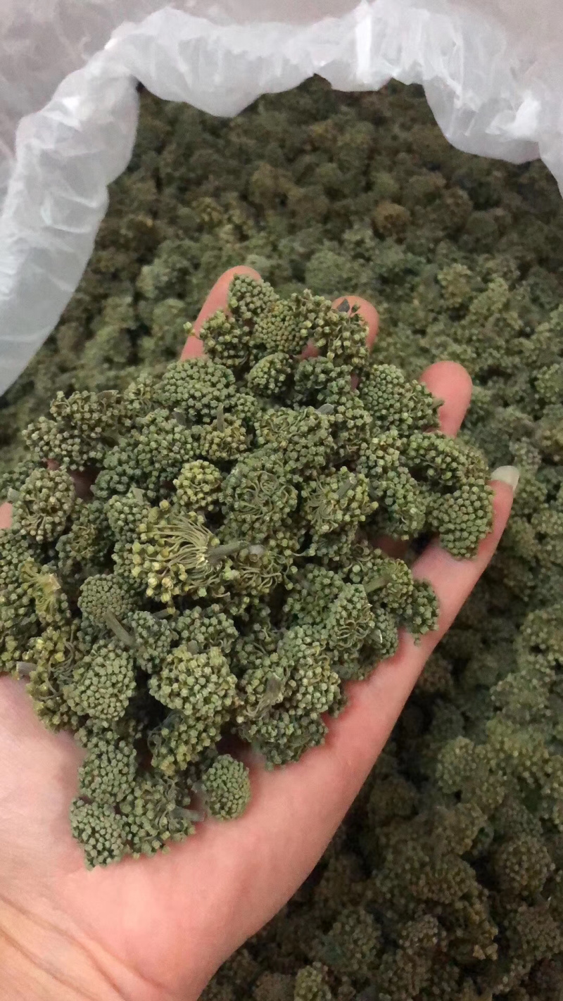 三七花，云南文山三七花，颜色好，花朵紧致
