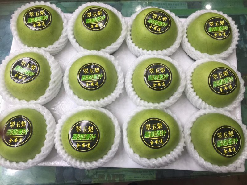 【🔥大量上市】丰水梨秋月梨等绿宝石梨口感脆甜，果肉鲜美