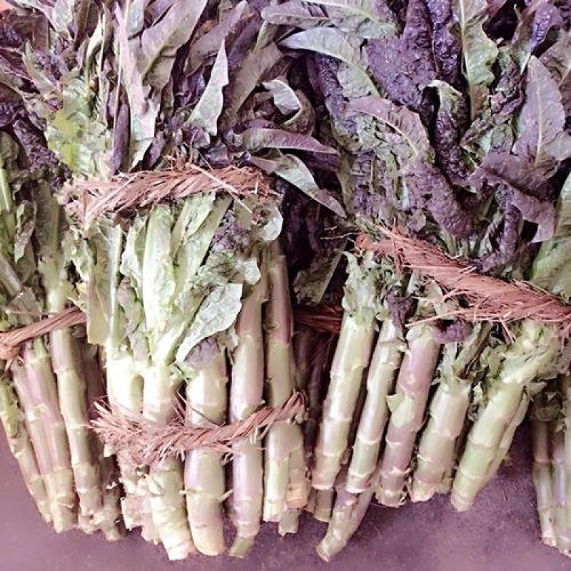 大尖叶种植既耐热又耐寒淡绿味清香脆嫩