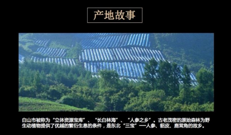 高丽参片无糖红参片红参6-8年大货