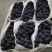 江苏省新沂市夏黑葡萄基地预售中，产地直发……