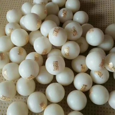经营各种中药材