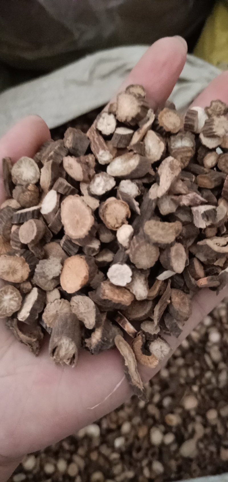 经营各种中药材