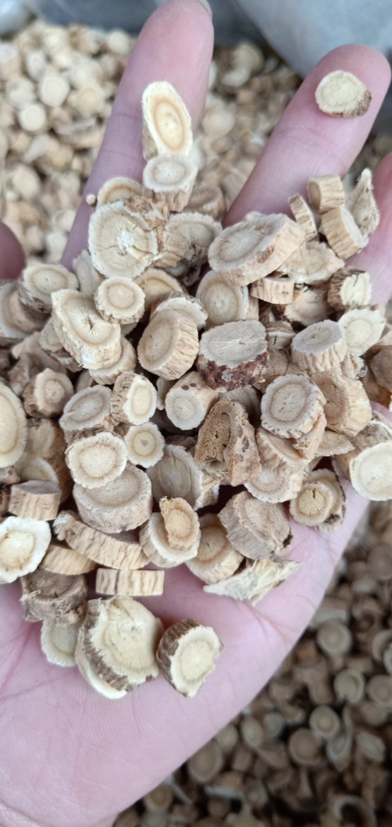 经营各种中药材