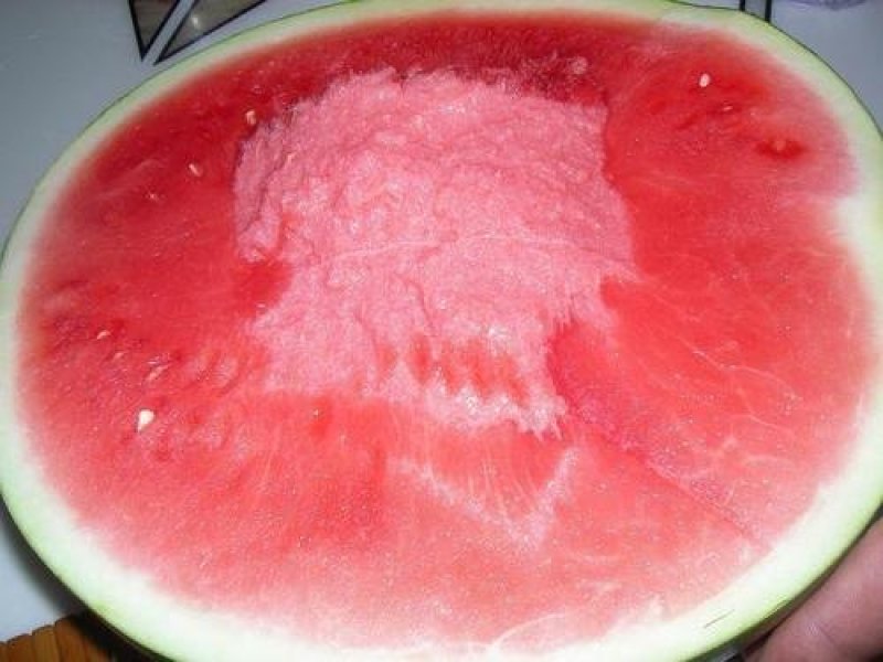 黑元宝西瓜种子黑皮无籽圆形大红瓤蜡粉浓