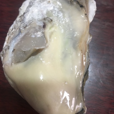 曹妃甸生蚝批发，量大的老板来吧，可以来码头看货