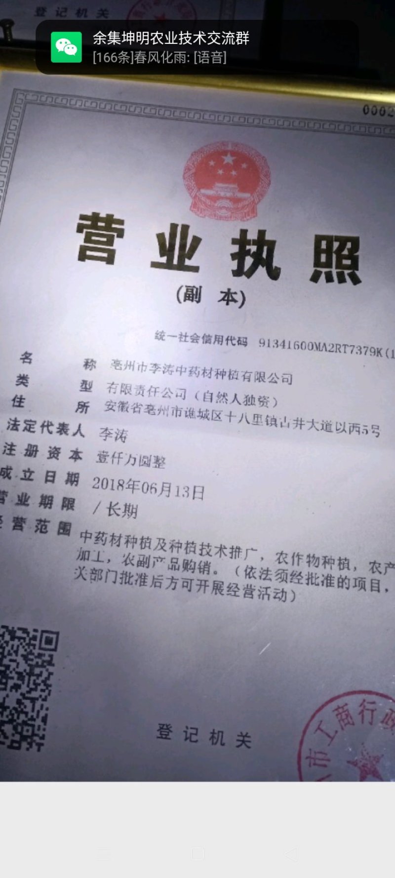 油用牡丹苗、观赏牡丹苗产地直销！品类齐全！花色好！