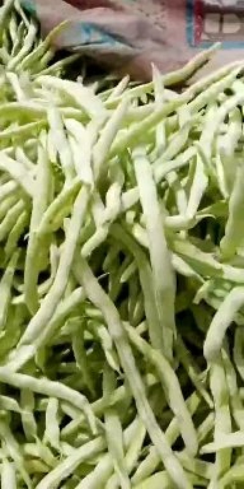 芸豆白不老大量上市中，代发全国，支持视频看货！！！