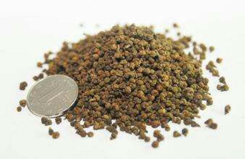 中药材吴茱萸吴茱芋吴茱萸