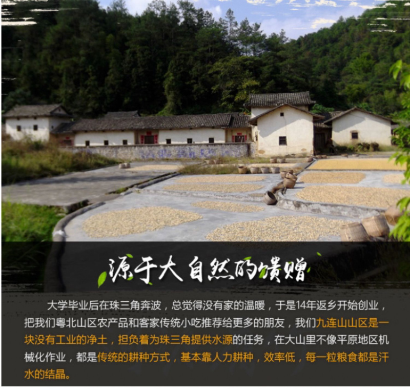 黑腐竹