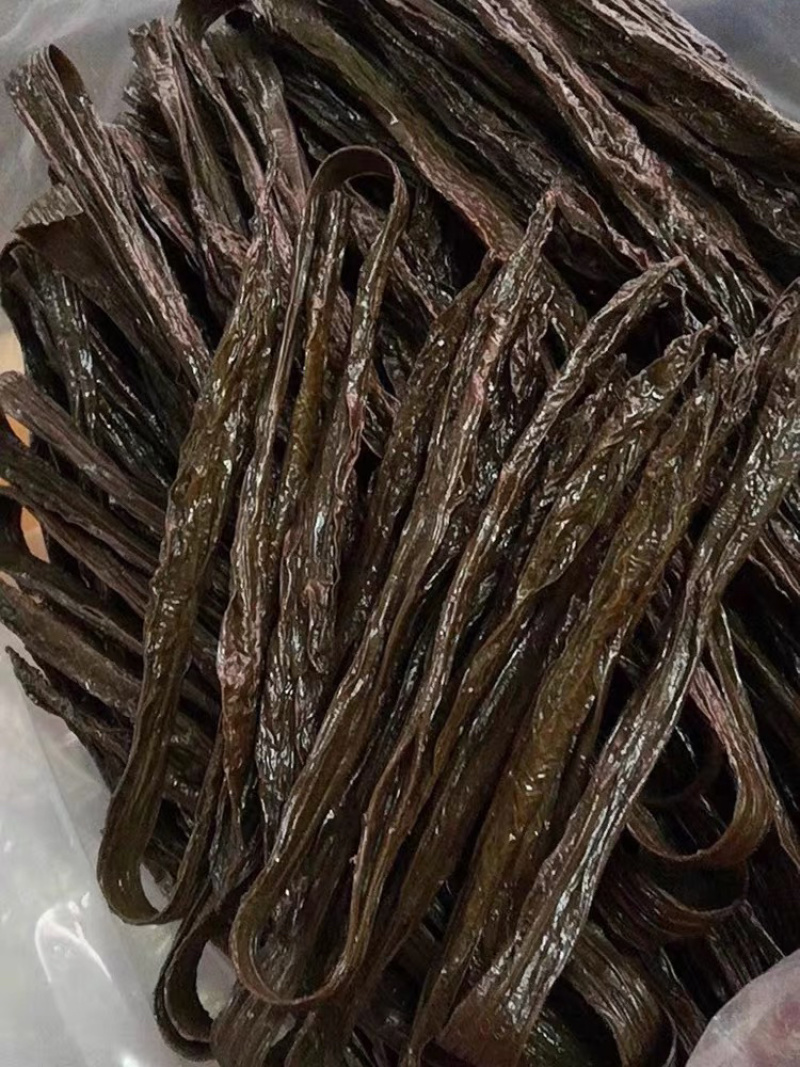 黑腐竹