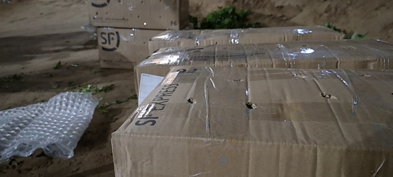 玛莎莉红薯苗，哈密红薯苗，澳洲紫白红薯苗，冰淇淋红薯苗