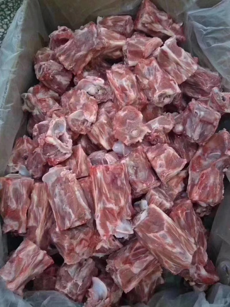 多肉羊蝎子厂家直销大量有货质量保证。。