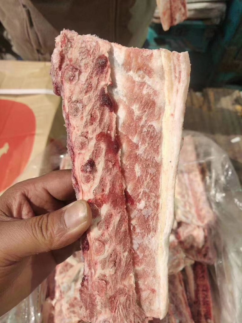 多肉羊蝎子厂家直销大量有货质量保证。。