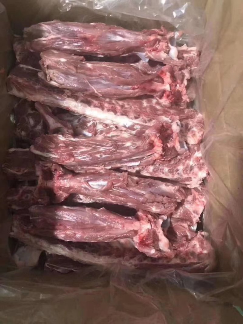 多肉羊蝎子厂家直销大量有货质量保证。。