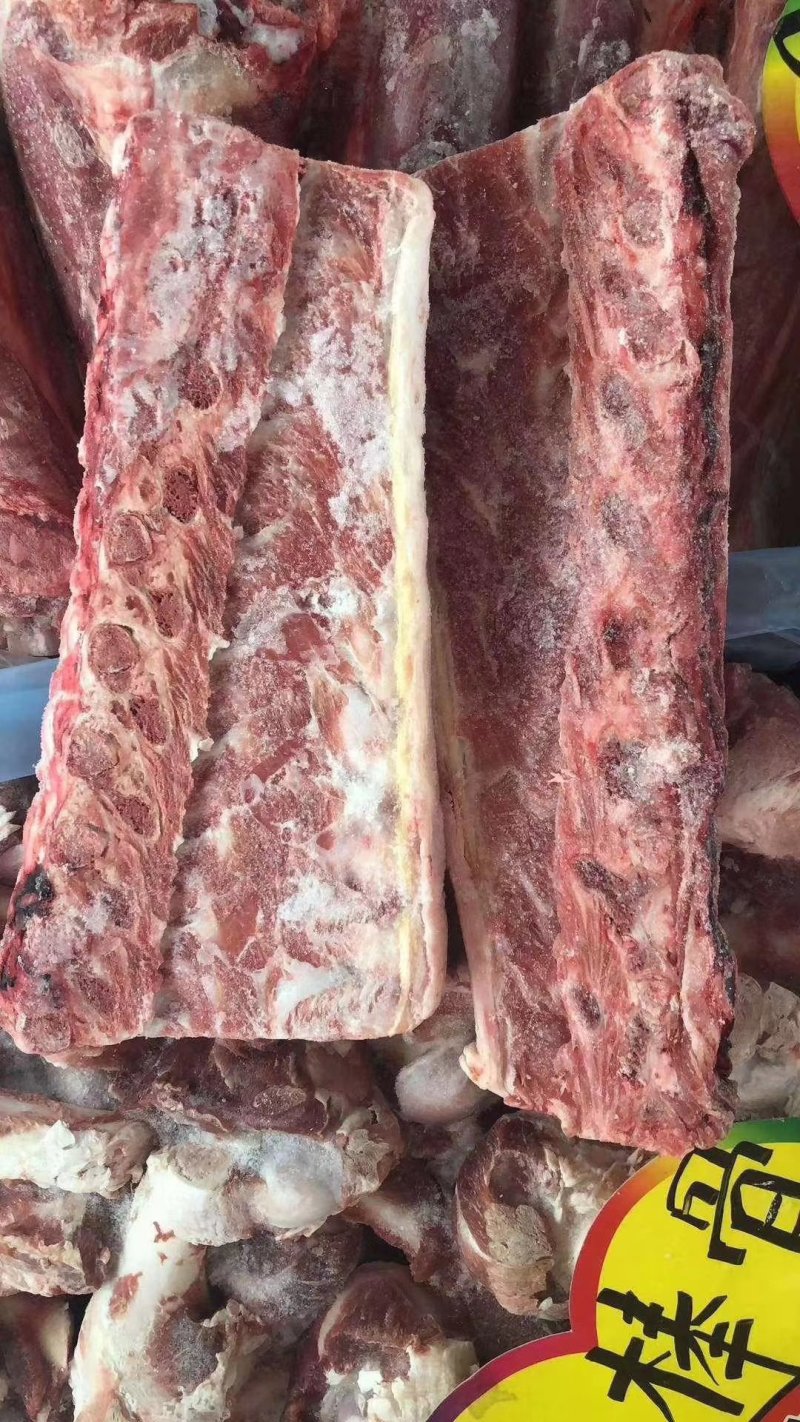 多肉羊蝎子厂家直销大量有货质量保证。。