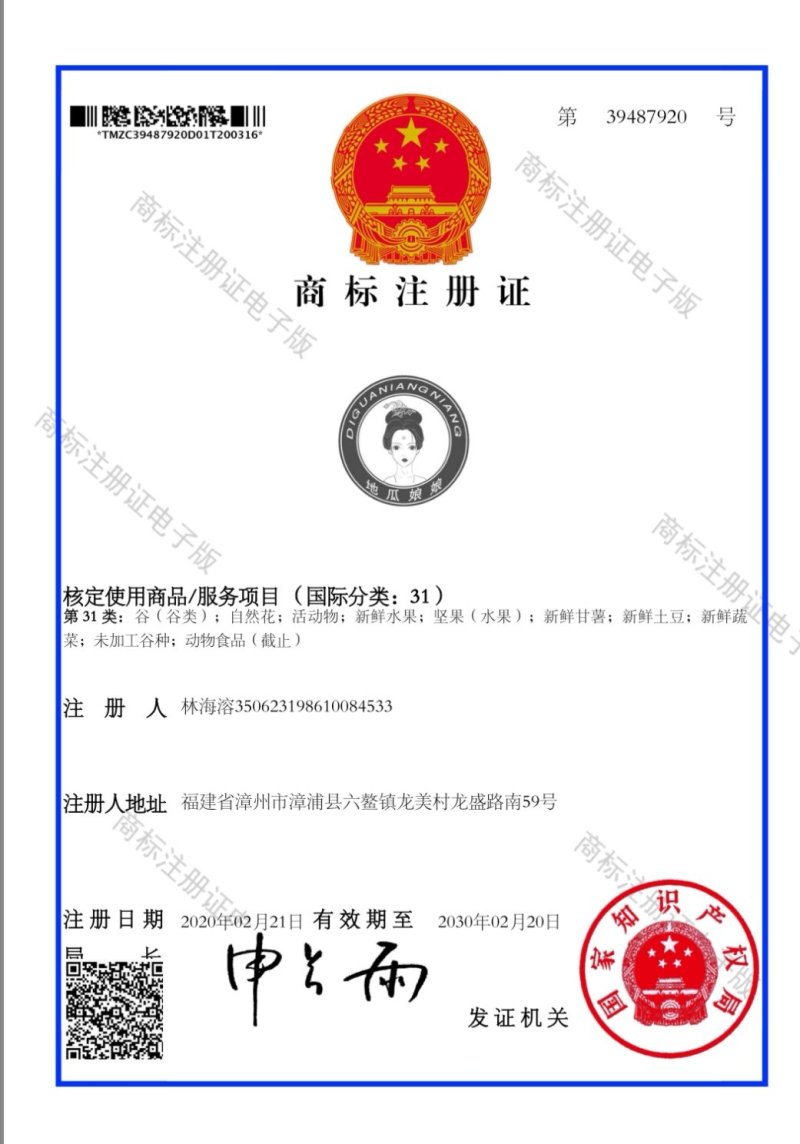 六鳌蜜薯，六鳌红蜜薯，六鳌地瓜，上市中希望与您真诚的合作