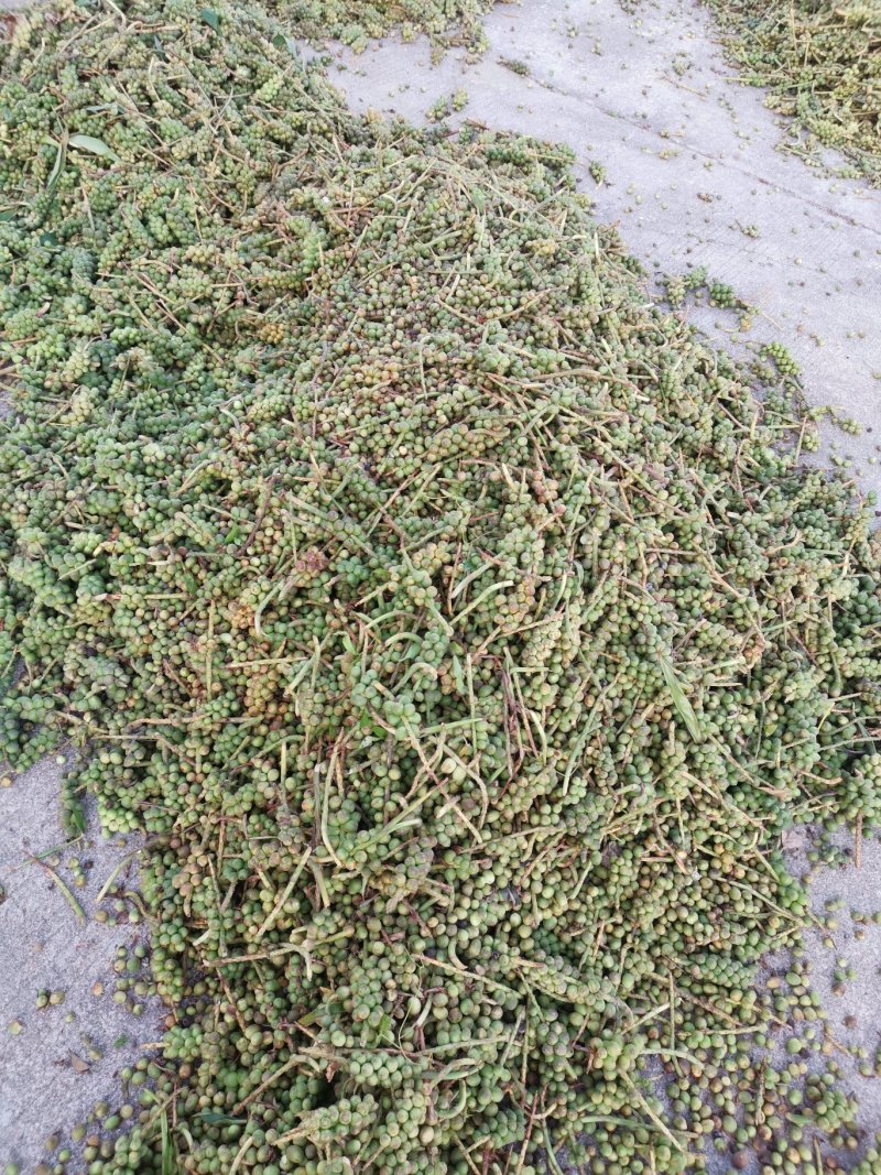 正宗优选海南万宁市益智仁，产地直发，量大从优