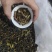 凤凰单丛茶（春茶）毛茶