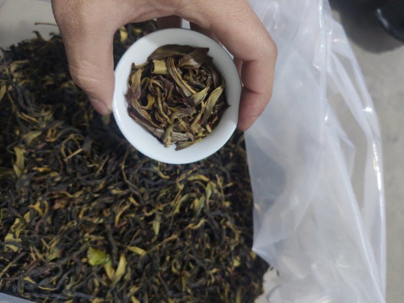 凤凰单丛茶（春茶）毛茶